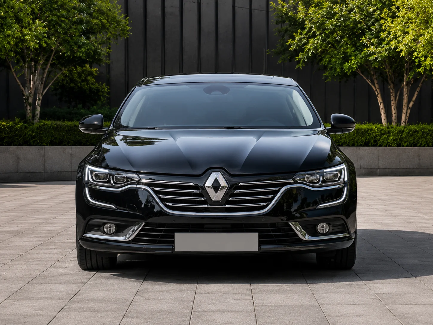 Prednji pogled na Renault Talisman AUTO 153